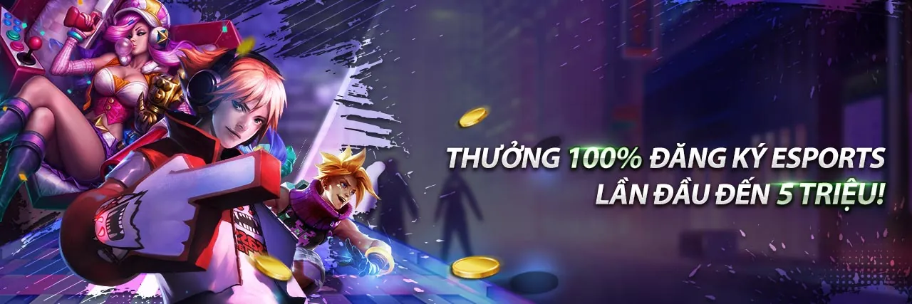 Chương trình VIP 33wim code