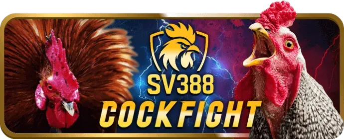 Cá cược Thể Thao tại 33wim Code